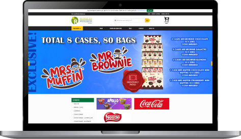 website preview