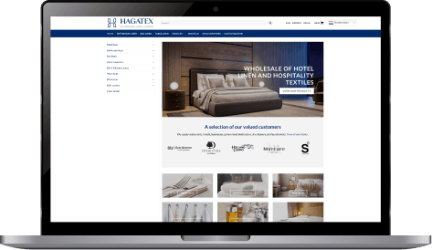 website preview