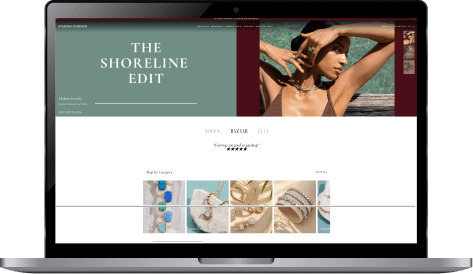 website preview